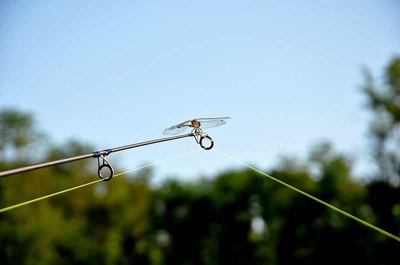 Diverse - 4250003763910257617871301023709n.jpg